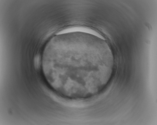 X0000113600024200910161917