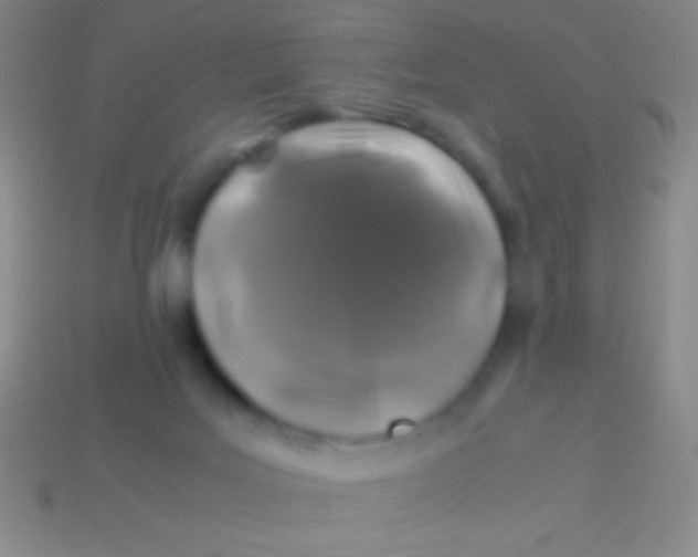 X0000113600027200910161916