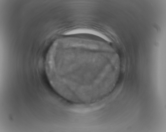 X0000113600029200910161916