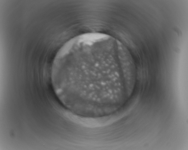 X0000113600030200910161916