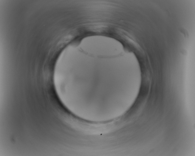 X0000113600031200910161916