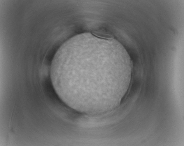 X0000113600033200910161916