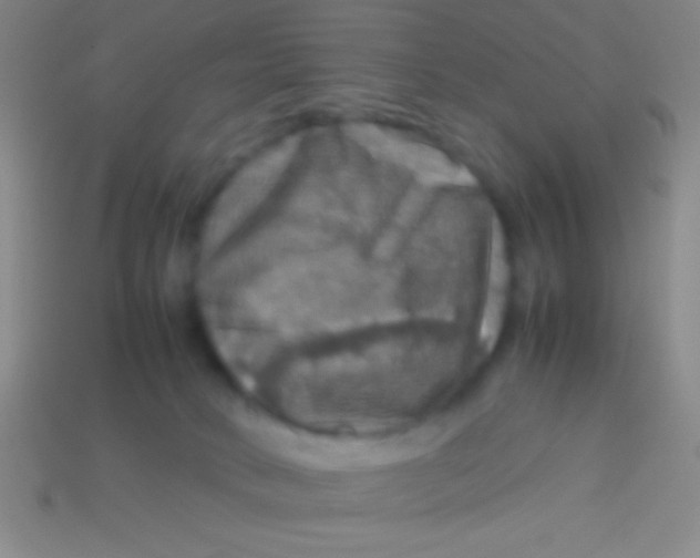 X0000113600034200910161916