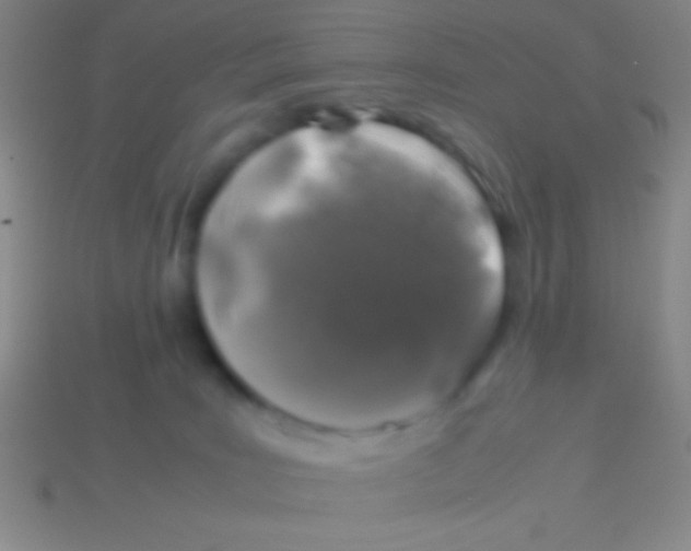 X0000113600035200910161916