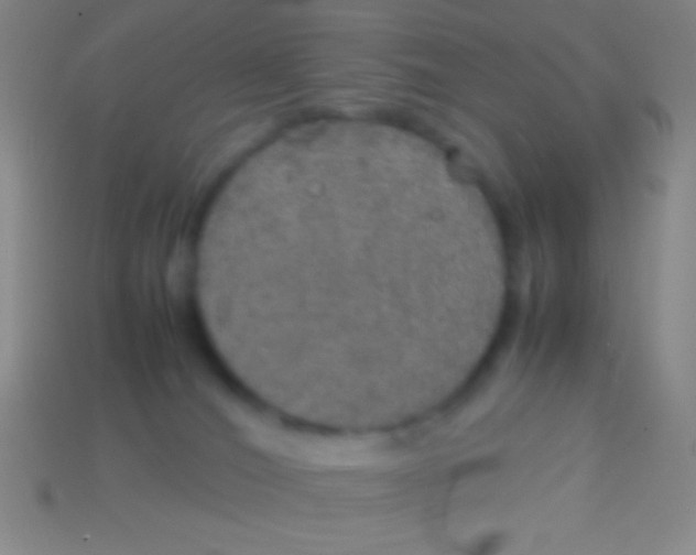 X0000113600036200910161916