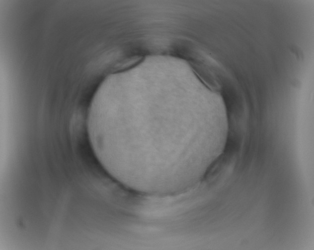 X0000113600037200910161916