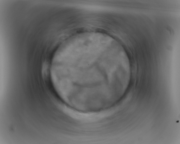 X0000113600038200910161916