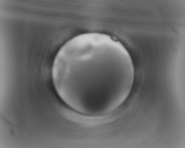 X0000113600039200910161916