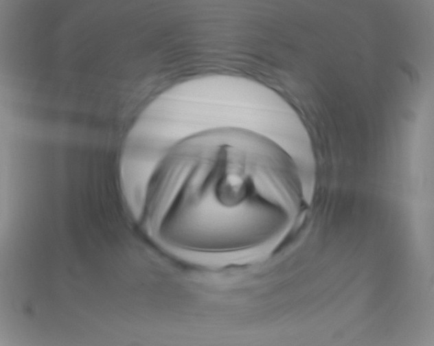 X0000113600041200910161916