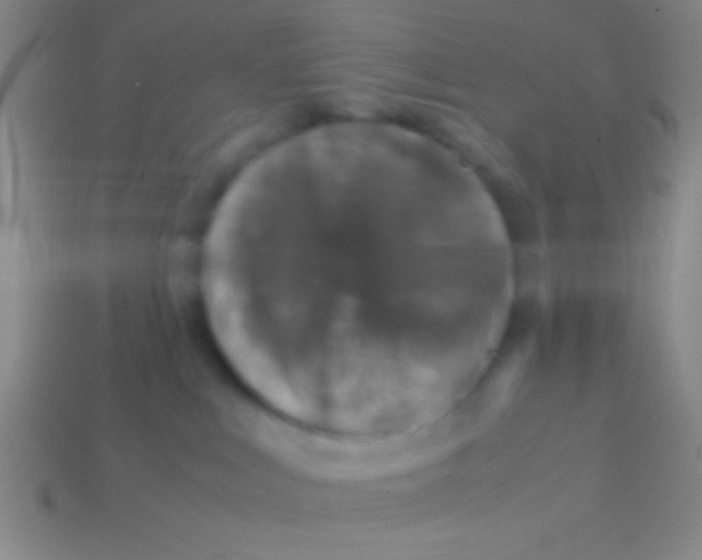 X0000113600043200910161916