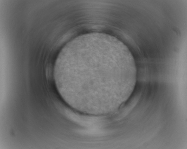 X0000113600044200910161916