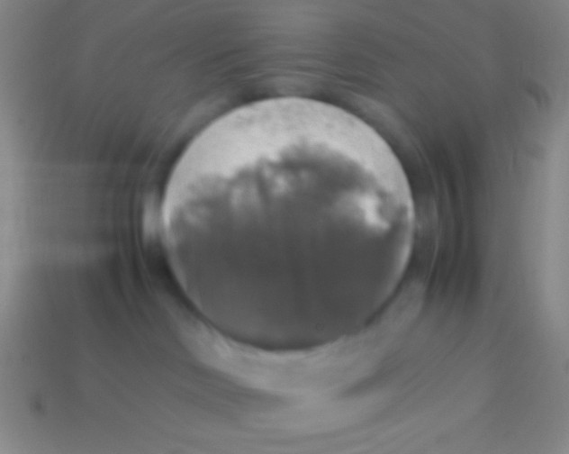 X0000113600046200910161916