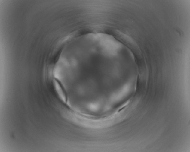 X0000113600047200910161916