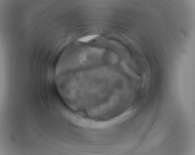 X0000113600048200910161916