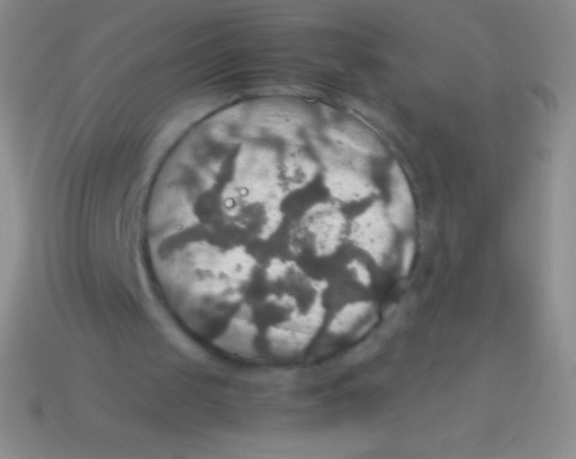 X0000113600049200910161915