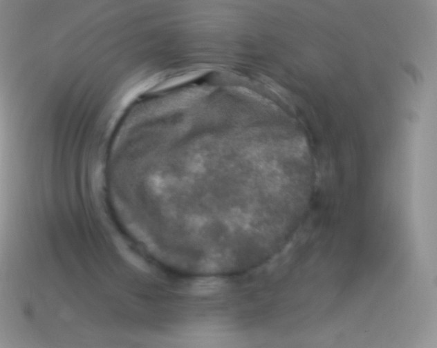 X0000113600050200910161915