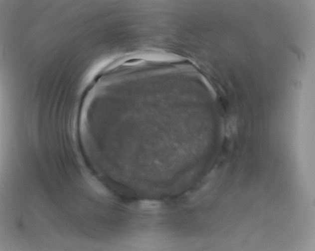 X0000113600052200910161915