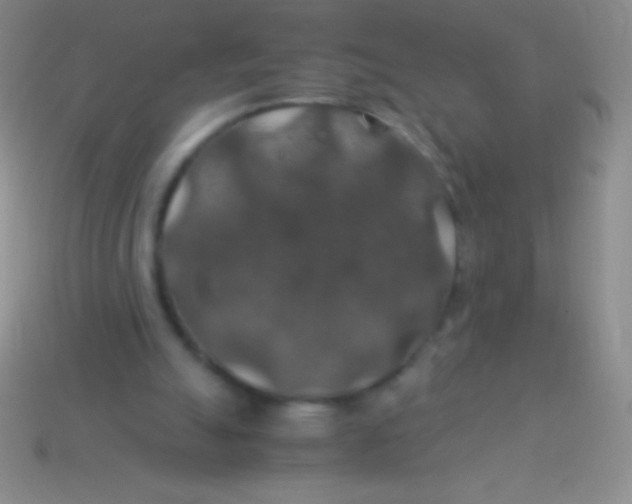 X0000113600055200910161915