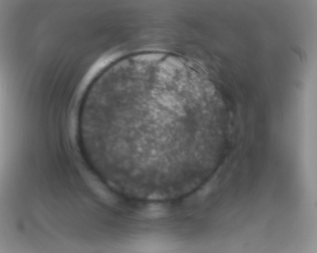 X0000113600056200910161915