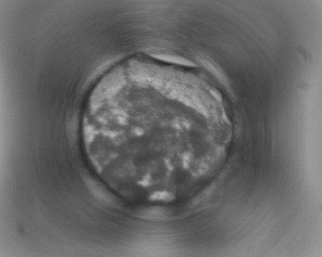 X0000113600058200910161915