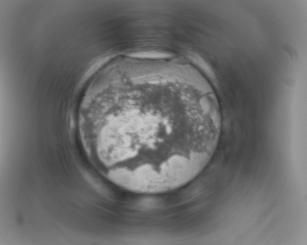 X0000113600059200910161915