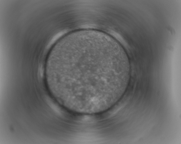 X0000113600060200910161915