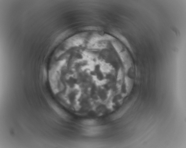 X0000113600061200910161916