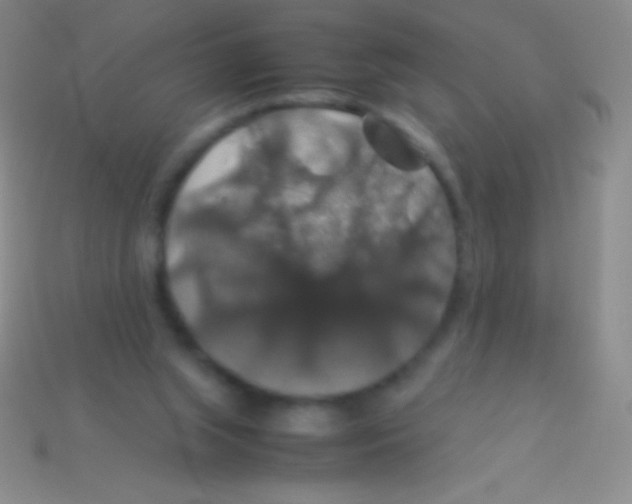 X0000113600063200910161916