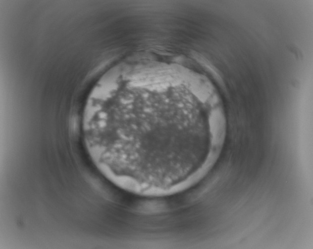 X0000113600067200910161916