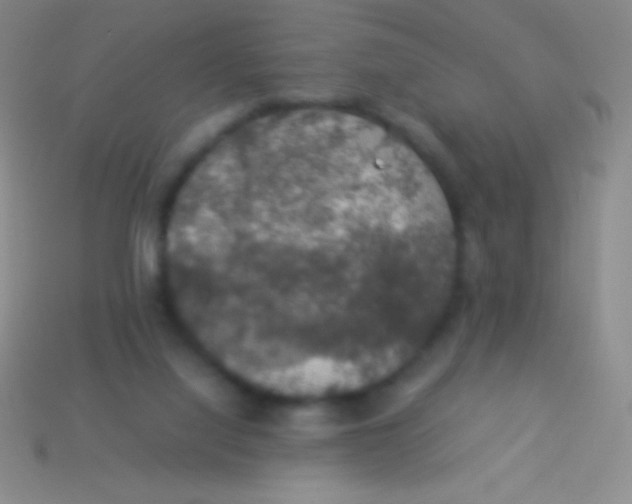 X0000113600068200910161916