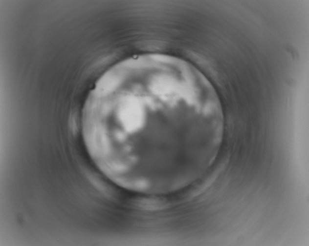 X0000113600069200910161916