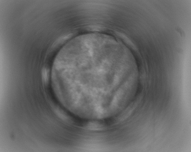 X0000113600070200910161916