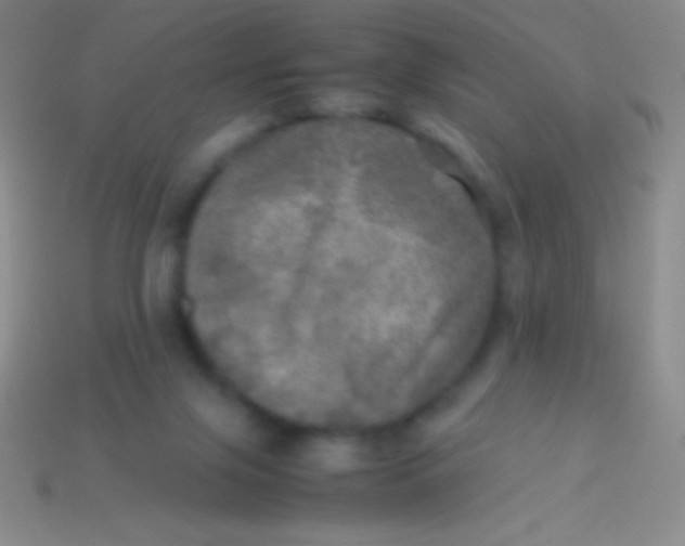 X0000113600071200910161916