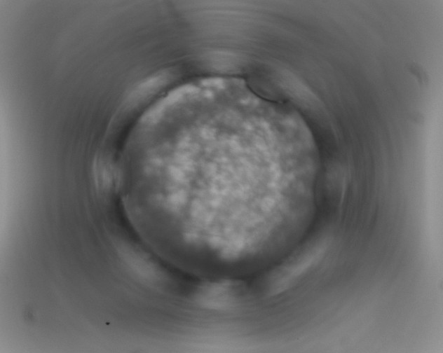 X0000113600072200910161916