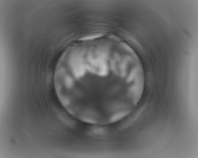 X0000113600073200910161916