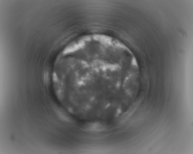 X0000113600074200910161916