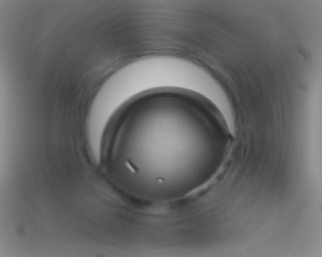 X0000113600076200910161916