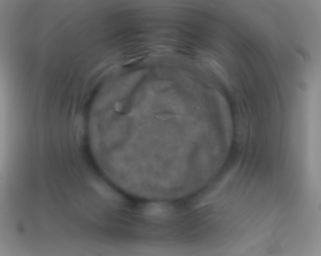 X0000113600077200910161916