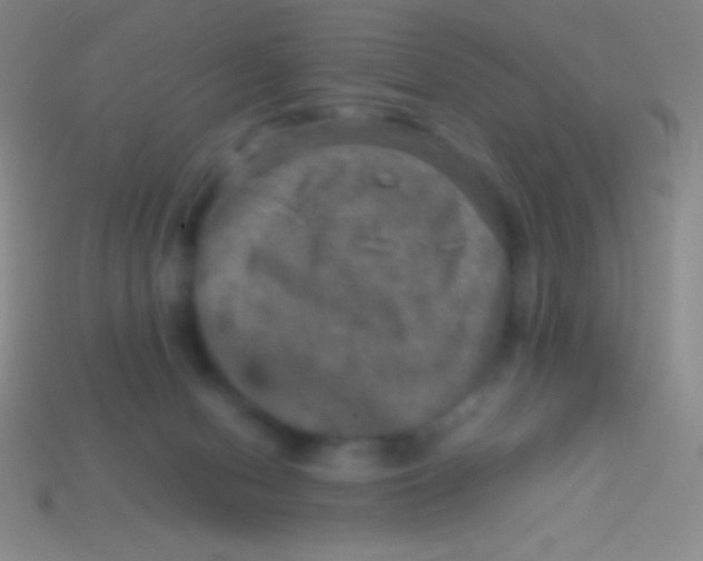 X0000113600078200910161916