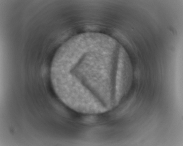 X0000113600079200910161916