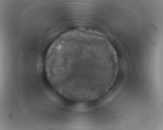 X0000113600080200910161916