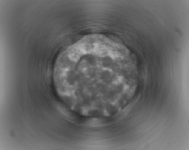 X0000113600082200910161916