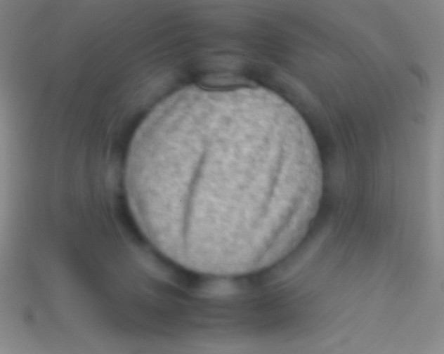 X0000113600083200910161916