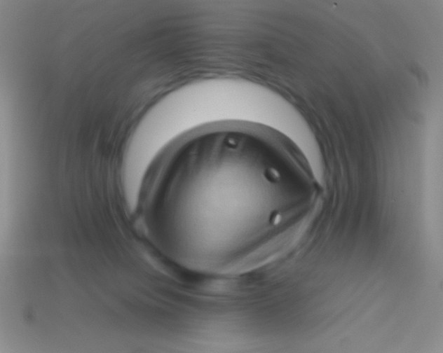 X0000113600084200910161916