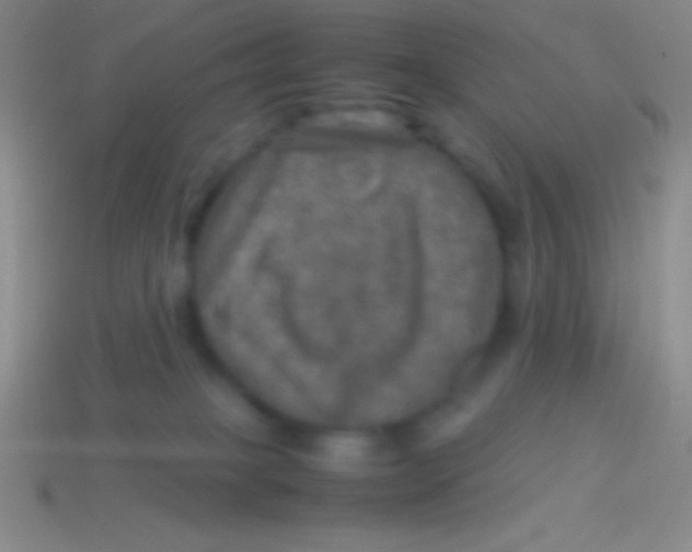 X0000113600085200910161916