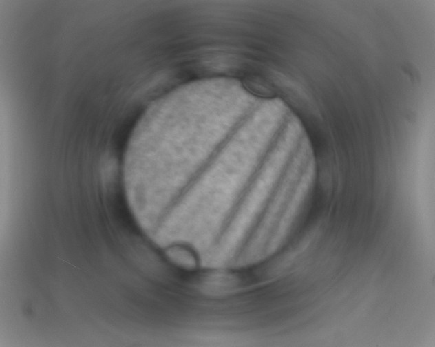 X0000113600087200910161916