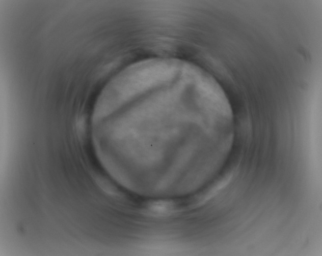 X0000113600088200910161916