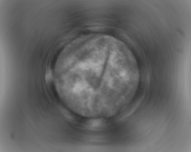 X0000113600089200910161916