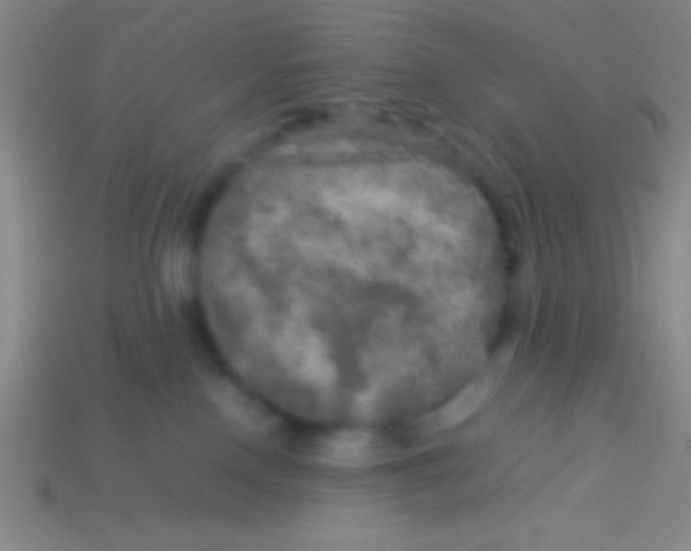 X0000113600090200910161916