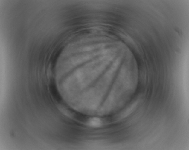 X0000113600091200910161916